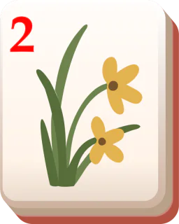 C: orchid flower